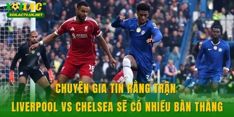 Chuyên gia tin rằng trận Liverpool vs Chelsea sẽ có nhiều bàn thắng