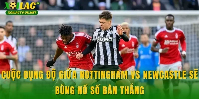 Cuộc đụng độ giữa Nottingham vs Newcastle sẽ bùng nổ số bàn thắng