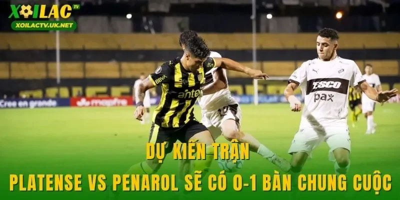 Dự kiến trận Platense vs Penarol sẽ có 0-1 bàn chung cuộc