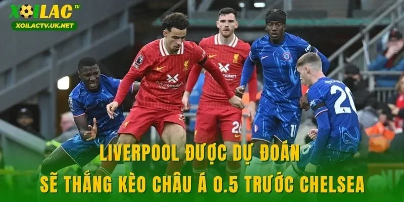 Liverpool được dự đoán sẽ thắng kèo châu Á 0.5 trước Chelsea