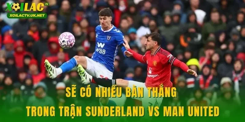 Sẽ có nhiều bàn thắng trong trận Sunderland vs Man United