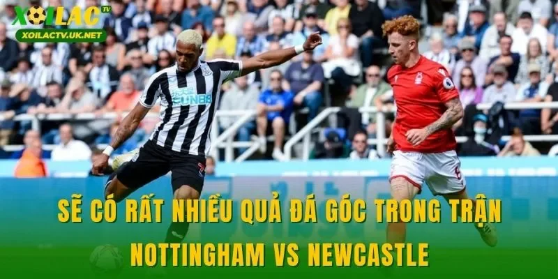 Sẽ có rất nhiều quả đá góc trong trận Nottingham vs Newcastle