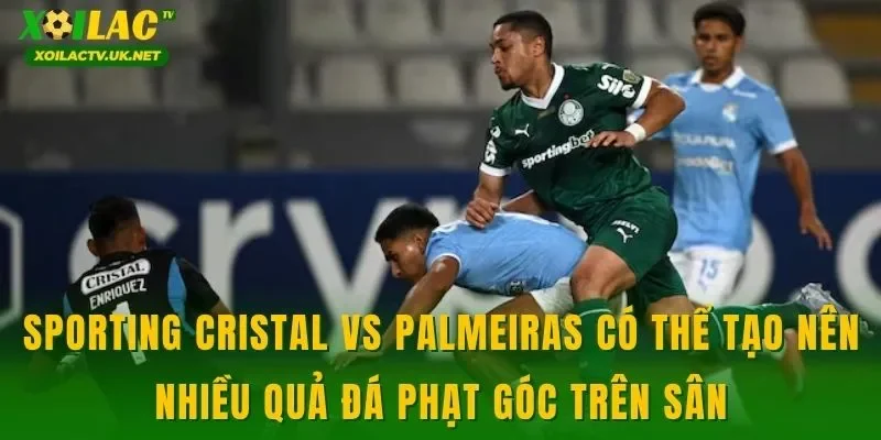 Sporting Cristal vs Palmeiras có thể tạo nên nhiều quả đá phạt góc trên sân