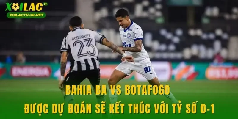 Bahia BA vs Botafogo được dự đoán sẽ kết thúc với tỷ số 0-1