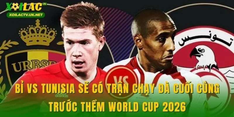 Bỉ vs Tunisia sẽ có trận chạy đà cuối cùng trước thềm World Cup 2026