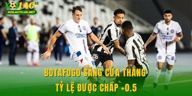 Botafogo sáng cửa thắng tỷ lệ được chấp +0.5