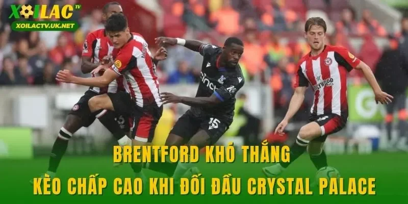 Brentford khó thắng kèo chấp cao khi đối đầu Crystal Palace
