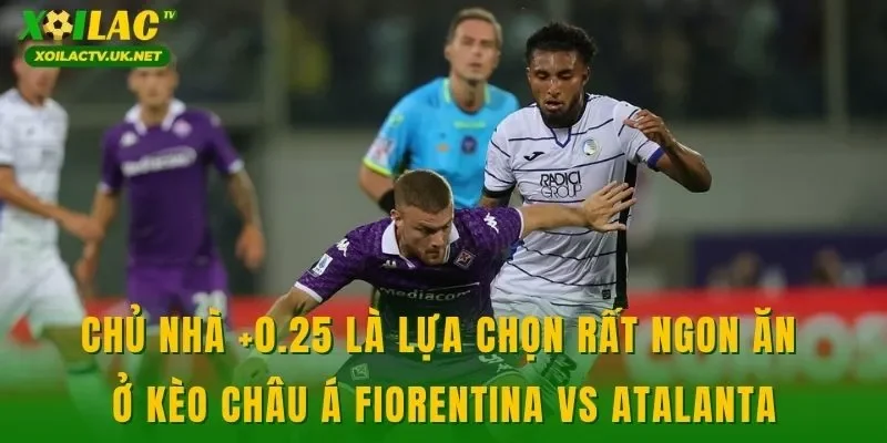 Chủ nhà +0.25 là lựa chọn rất ngon ăn ở kèo châu Á Fiorentina vs Atalanta