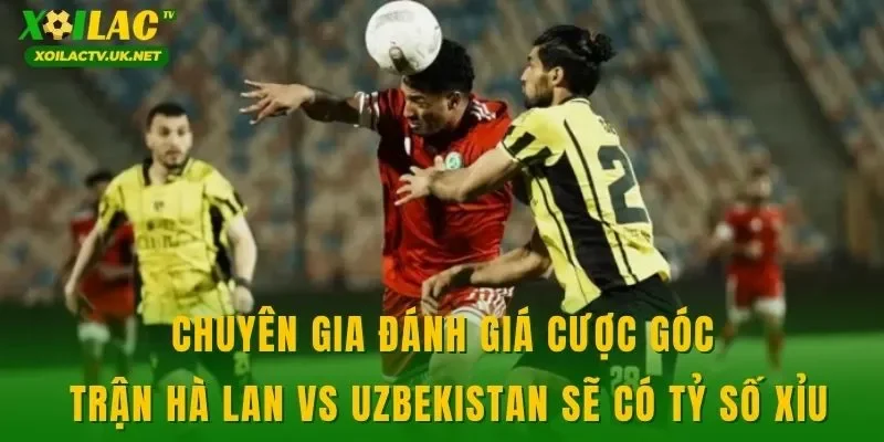 Chuyên gia đánh giá cược góc trận Hà Lan vs Uzbekistan sẽ có tỷ số xỉu