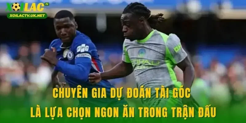 Chuyên gia dự đoán tài góc là lựa chọn ngon ăn trong trận đấu