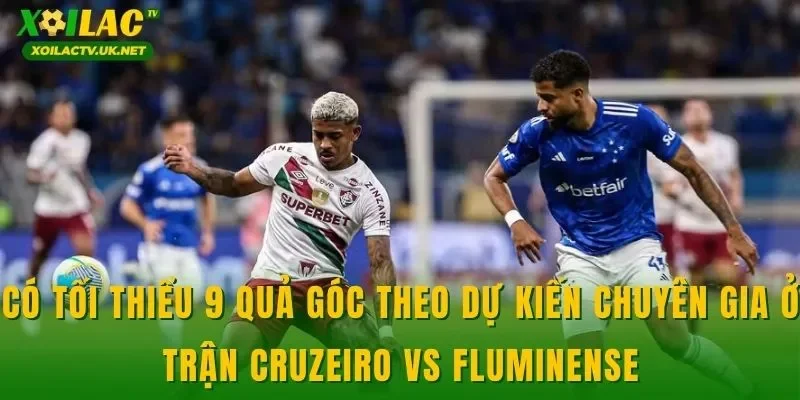 Có tối thiểu 9 quả góc theo dự kiến chuyên gia ở trận Cruzeiro vs Fluminense