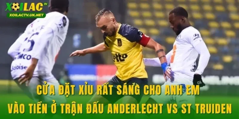 Cửa đặt xỉu rất sáng cho anh em vào tiền ở trận đấu Anderlecht vs St Truiden