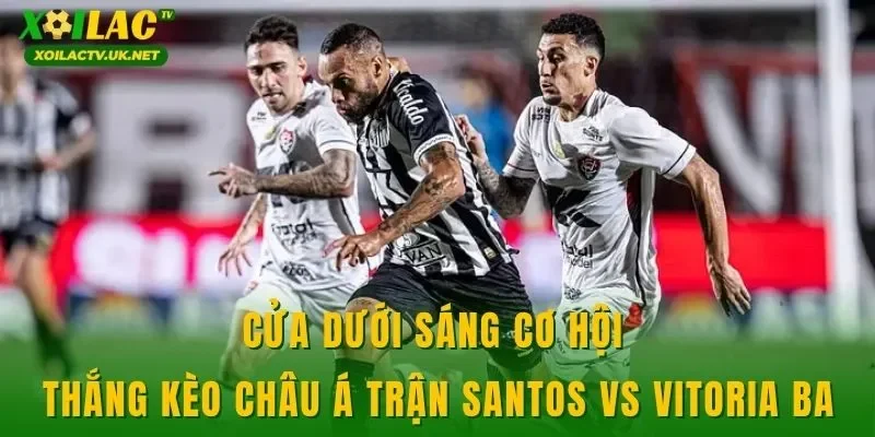 Cửa dưới sáng cơ hội thắng kèo châu Á trận Santos vs Vitoria BA