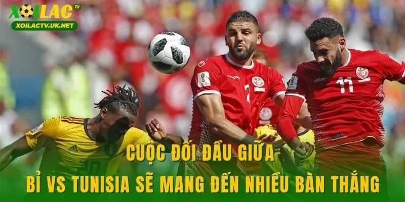 Cuộc đối đầu giữa Bỉ vs Tunisia sẽ mang đến nhiều bàn thắng