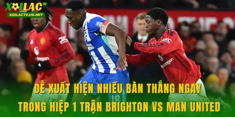 Dễ xuất hiện nhiều bàn thắng ngay trong hiệp 1 trận Brighton vs Man United