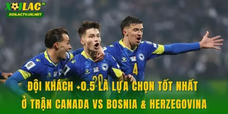 Đội khách +0.5 là lựa chọn tốt nhất ở trận Canada vs Bosnia & Herzegovina