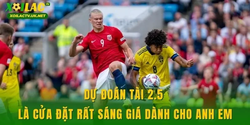 Dự đoán tài 2.5 là cửa đặt rất sáng giá dành cho anh em