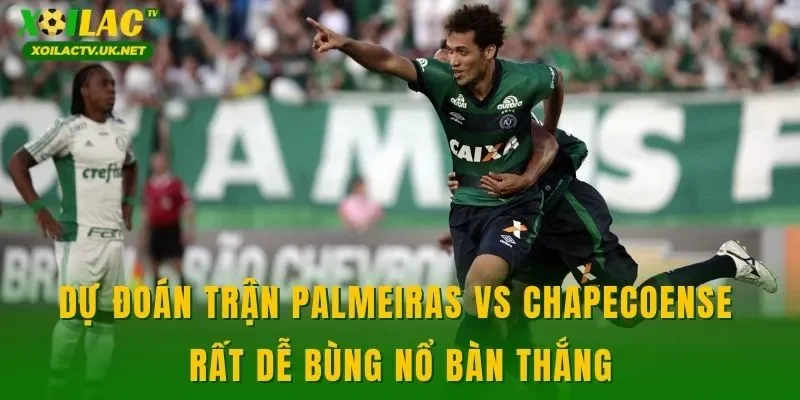 Dự đoán trận Palmeiras vs Chapecoense rất dễ bùng nổ bàn thắng