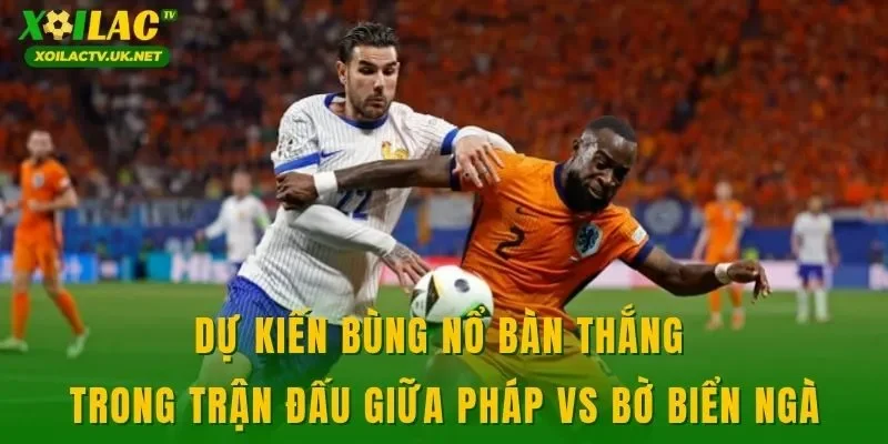 Dự kiến bùng nổ bàn thắng trong trận đấu giữa Pháp vs Bờ Biển Ngà