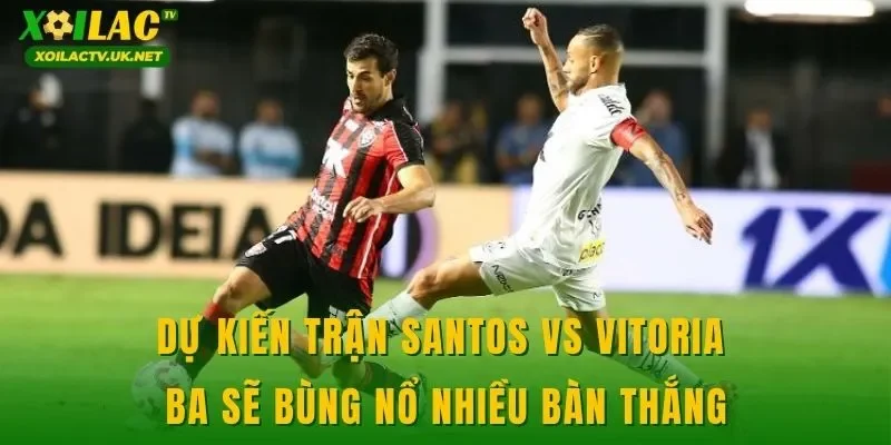 Dự kiến trận Santos vs Vitoria BA sẽ bùng nổ nhiều bàn thắng