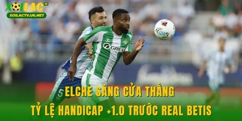 Elche sáng cửa thắng tỷ lệ handicap +1.0 trước Real Betis