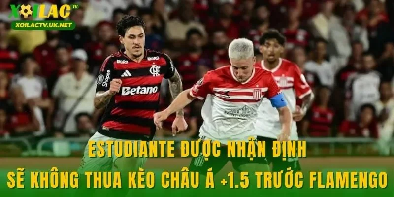 Estudiante được nhận định sẽ không thua kèo châu Á +1.5 trước Flamengo