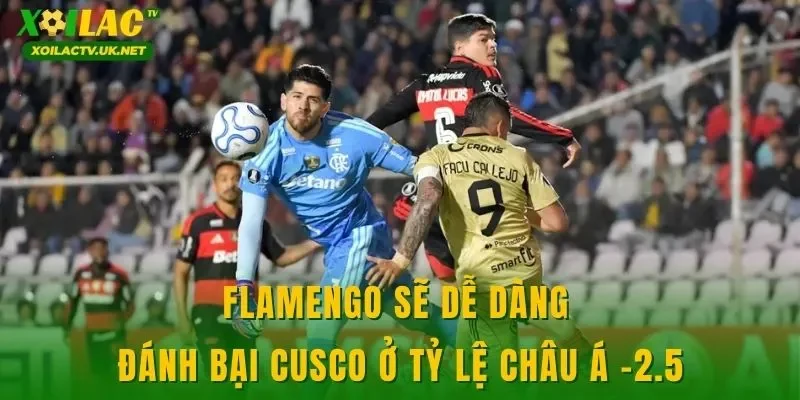 Flamengo sẽ dễ dàng đánh bại Cusco ở tỷ lệ châu Á -2.5