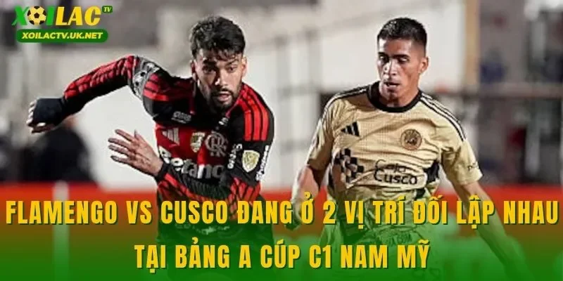 Flamengo vs Cusco đang ở 2 vị trí đối lập nhau tại bảng A cúp C1 Nam Mỹ