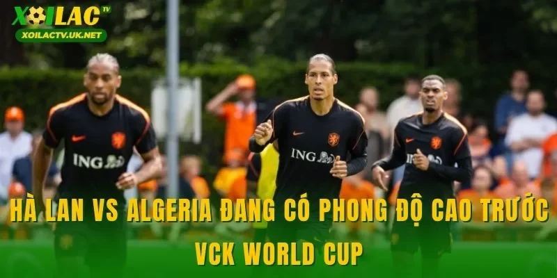 Hà Lan vs Algeria đang có phong độ cao trước VCK World Cup