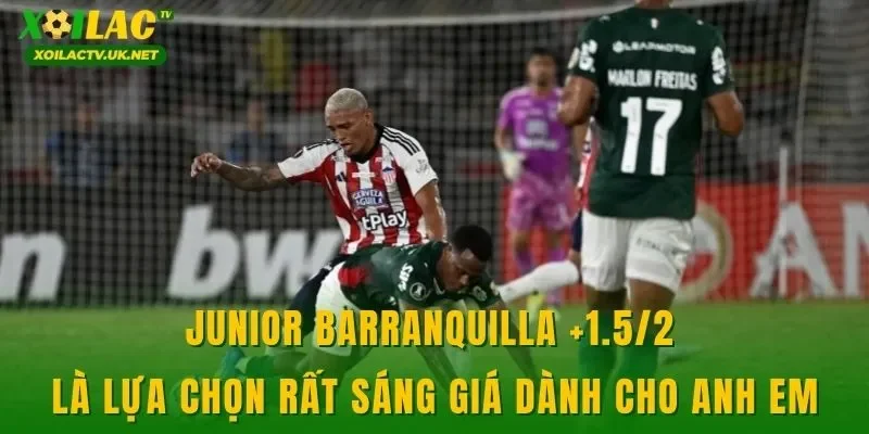 Junior Barranquilla +1.5/2 là lựa chọn rất sáng giá dành cho anh em