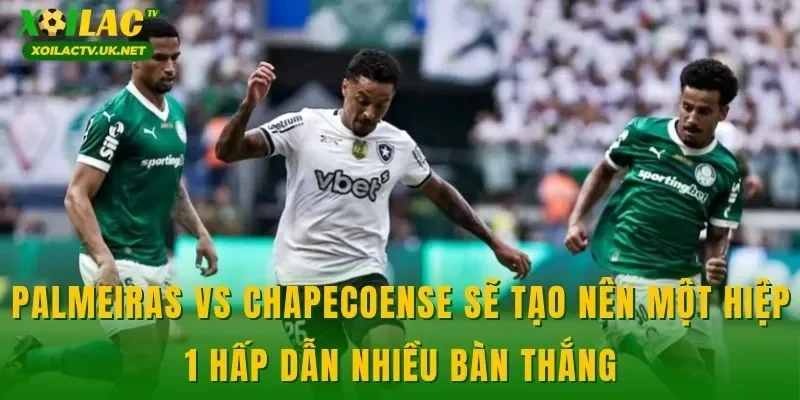 Palmeiras vs Chapecoense sẽ tạo nên một hiệp 1 hấp dẫn nhiều bàn thắng
