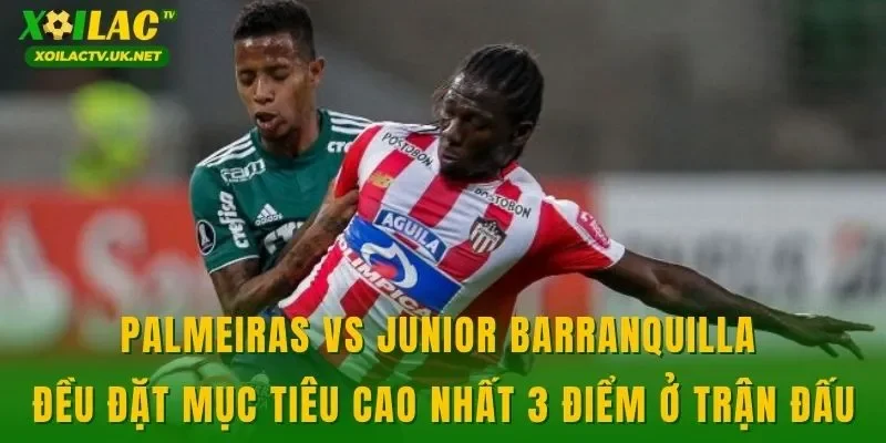 Palmeiras vs Junior Barranquilla đều đặt mục tiêu cao nhất 3 điểm ở trận đấu