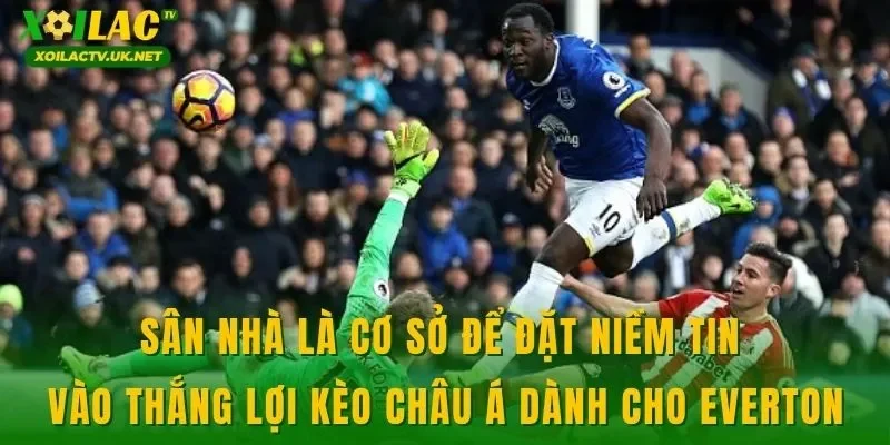 Sân nhà là cơ sở để đặt niềm tin vào thắng lợi kèo châu Á dành cho Everton