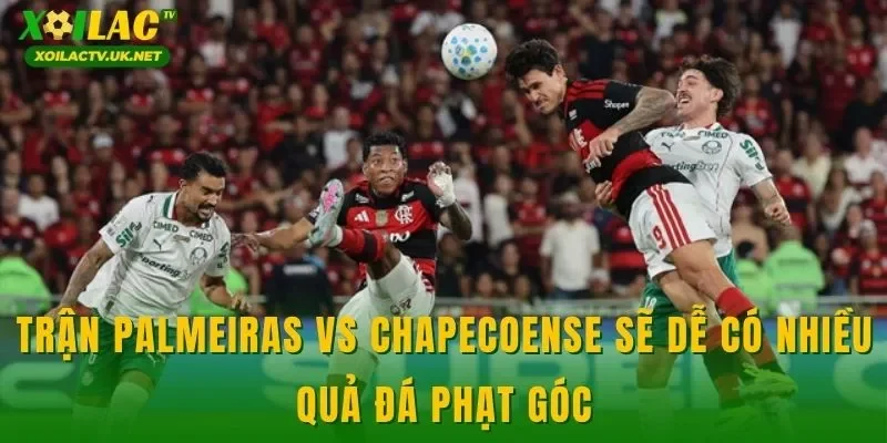 Trận Palmeiras vs Chapecoense sẽ dễ có nhiều quả đá phạt góc