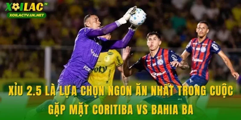 Xỉu 2.5 là lựa chọn ngon ăn nhất trong cuộc gặp mặt Coritiba vs Bahia BA