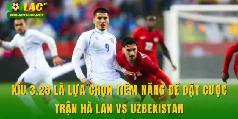 Xỉu 3.25 là lựa chọn tiềm năng để đặt cược trận Hà Lan vs Uzbekistan