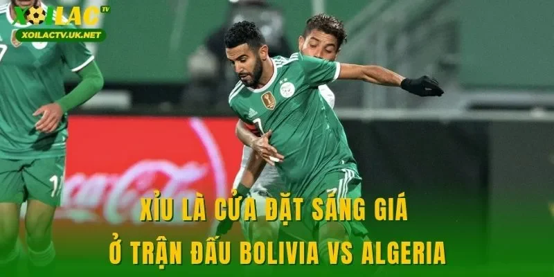 Xỉu là cửa đặt sáng giá ở trận đấu Bolivia vs Algeria