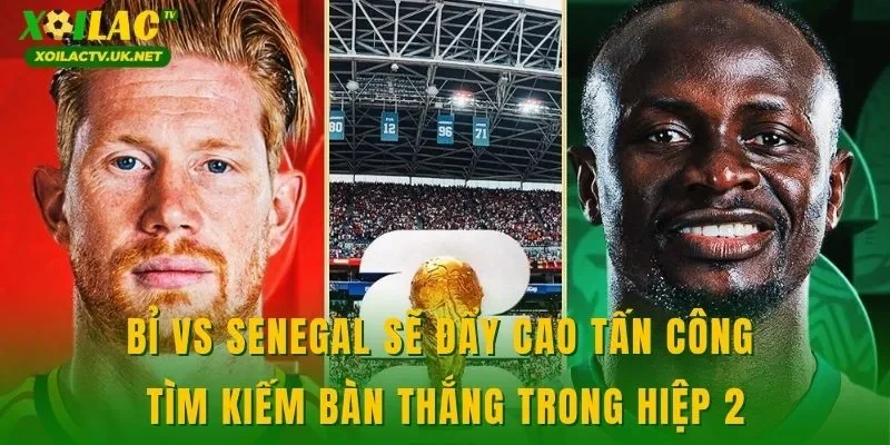Bỉ vs Senegal sẽ đẩy cao tấn công tìm kiếm bàn thắng trong hiệp 2