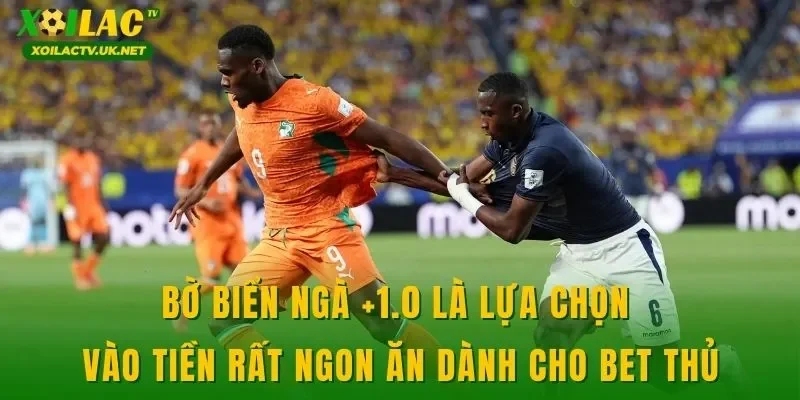 Bờ Biển Ngà +1.0 là lựa chọn vào tiền rất ngon ăn dành cho bet thủ