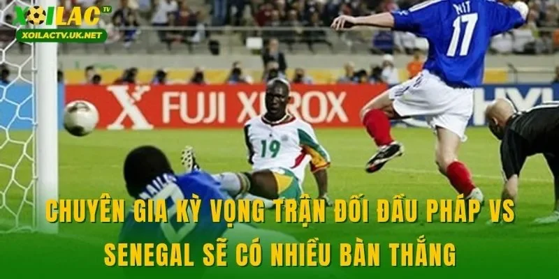 Chuyên gia kỳ vọng trận đối đầu Pháp vs Senegal sẽ có nhiều bàn thắng