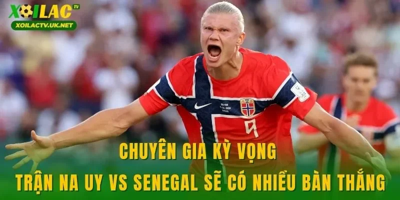 Chuyên gia kỳ vọng trận Na Uy vs Senegal sẽ có nhiều bàn thắng