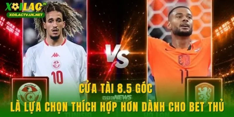 Cửa tài 8.5 góc là lựa chọn thích hợp hơn dành cho bet thủ