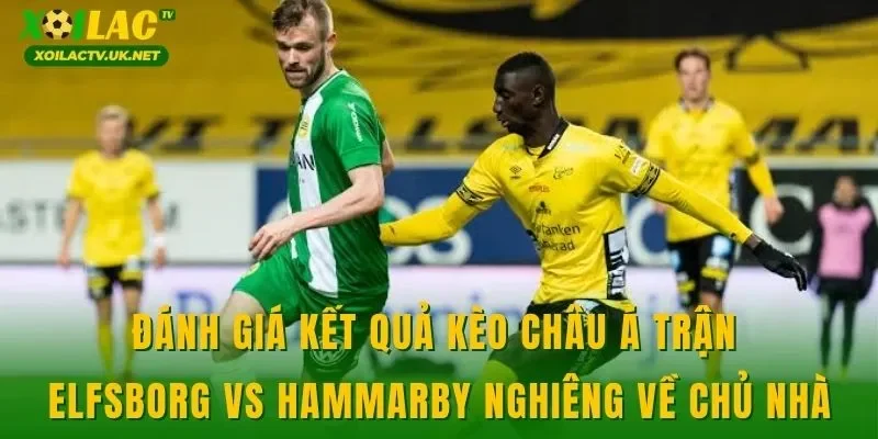 Đánh giá kết quả kèo châu Á trận Elfsborg vs Hammarby nghiêng về chủ nhà