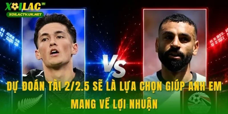 Dự đoán tài 2/2.5 sẽ là lựa chọn giúp anh em mang về lợi nhuận