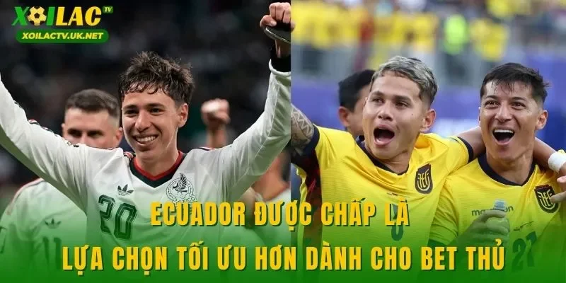 Ecuador được chấp là lựa chọn tối ưu hơn dành cho bet thủ
