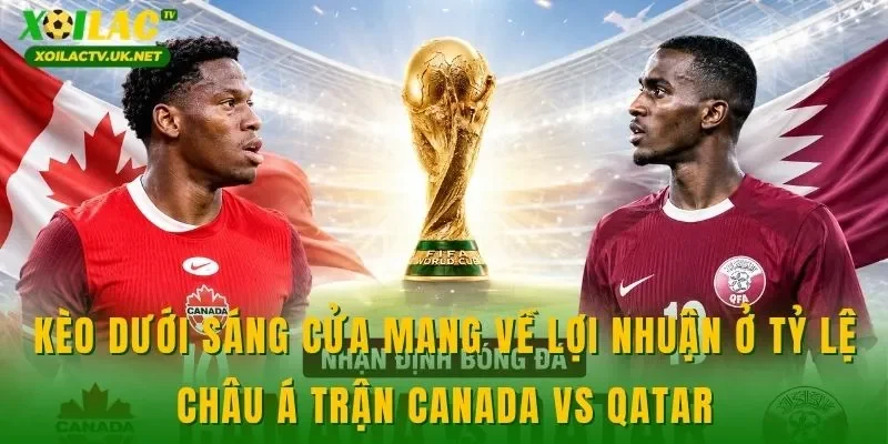 Kèo dưới sáng cửa mang về lợi nhuận ở tỷ lệ châu Á trận Canada vs Qatar