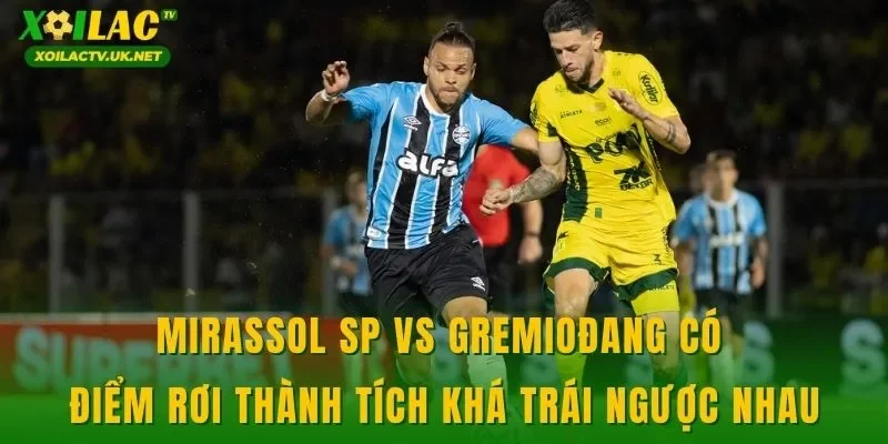 Mirassol SP vs Gremio đang có điểm rơi thành tích khá trái ngược nhau