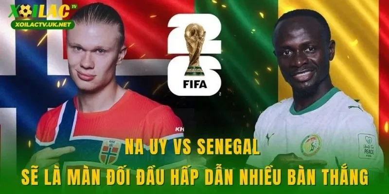 Na Uy vs Senegal sẽ là màn đối đầu hấp dẫn nhiều bàn thắng