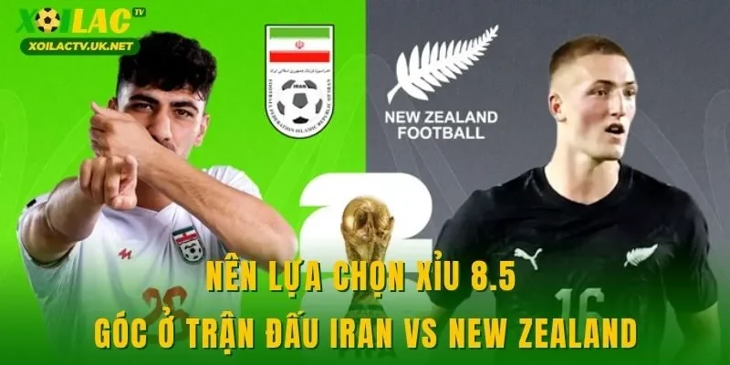 Nên lựa chọn xỉu 8.5 góc ở trận đấu Iran vs New Zealand