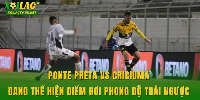 Ponte Preta vs Criciuma đang thể hiện điểm rơi phong độ trái ngược 
